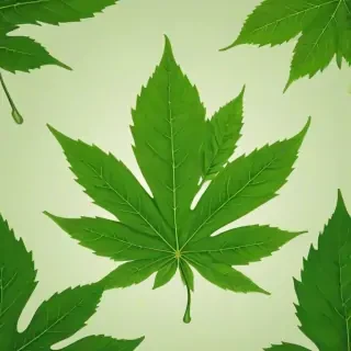 green leaf design