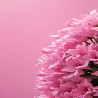 pink cute background