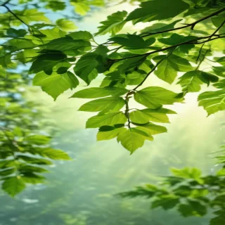 background green leaves