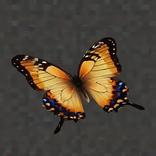 butterfly png transparent