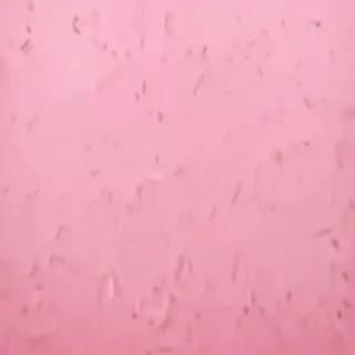 pastel pink bg