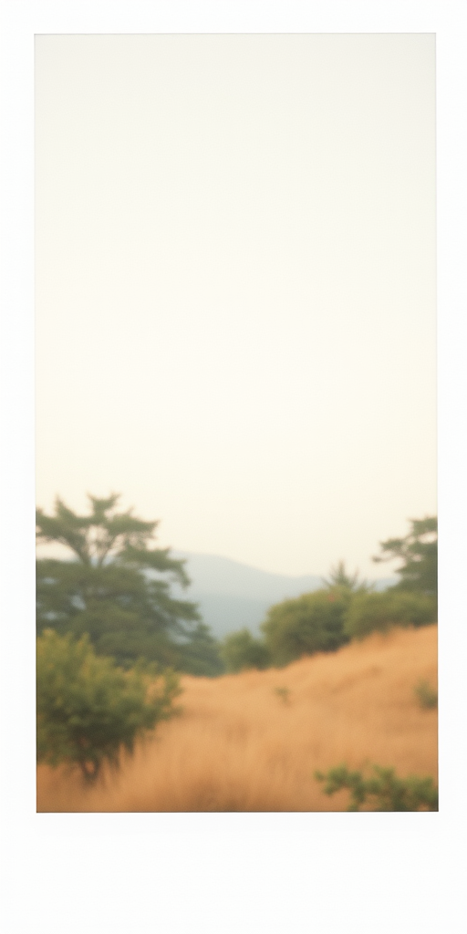 aesthetic polaroid frame