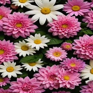 background iphone flowers