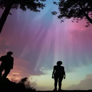 people silhouettes