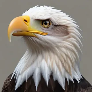 bald eagle png
