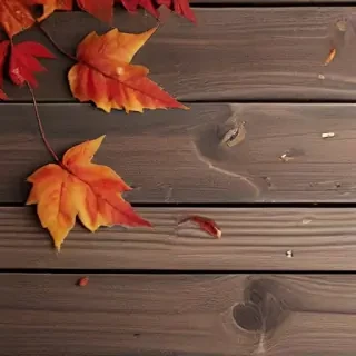 fall iphone wallpaper