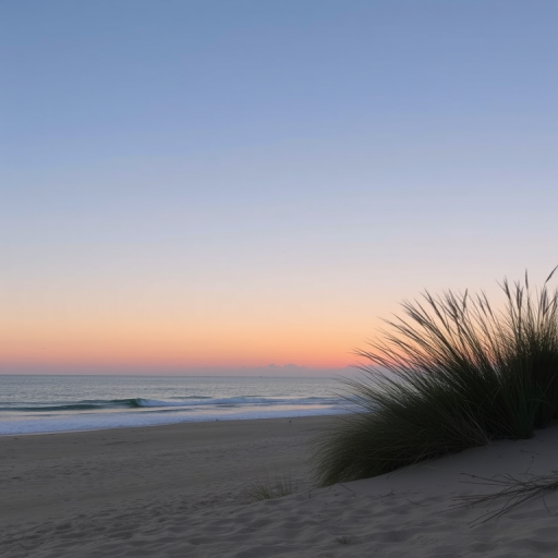 aesthetic backgrounds beach