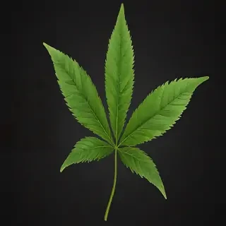 weed leaf png