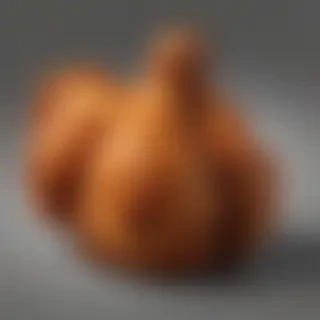fried chicken png