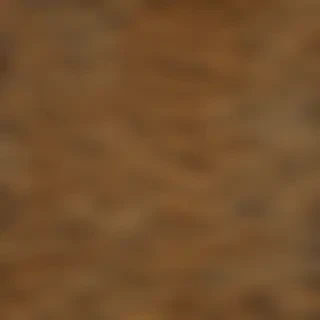 leopard print png