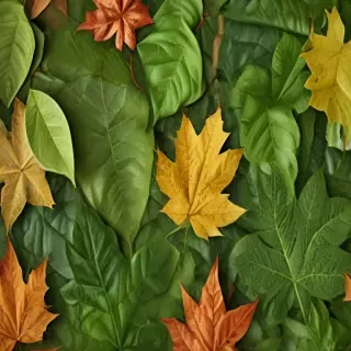 leaf backgrounds