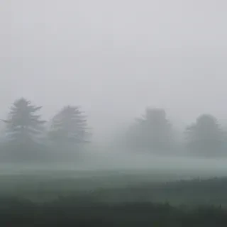 foggy background