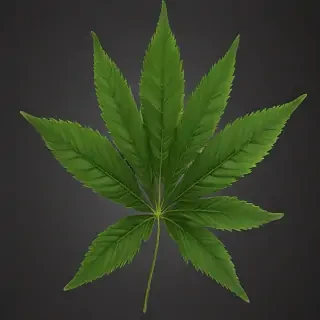 weed leaf png