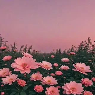 aesthetic music wallpaper