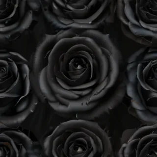 blackrose background