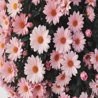 cute aesthetic wallpapers flowers