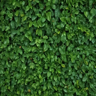 green leaves background