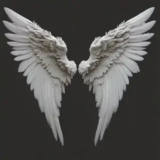 png angel wings