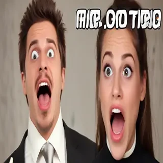funny videos