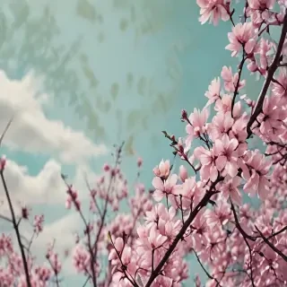 springtime iphone wallpaper