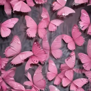 images of pink butterflies