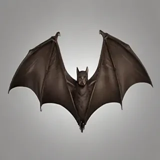 bat wings png