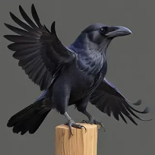 raven png