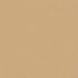 beige plain background