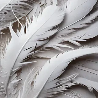feather background