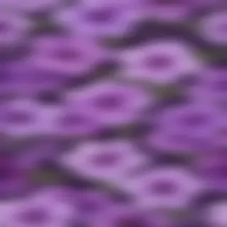 purple flowers transparent background