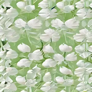 background white and green