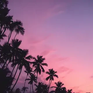 aesthetic wallpapers simple