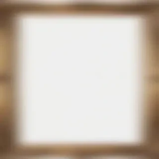 picture frame transparent
