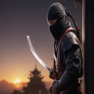 ninja png