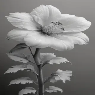 pencil drawing flowers