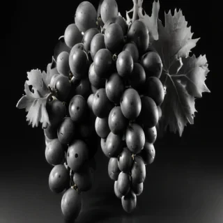 grapes clipart black and white