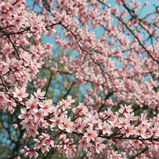 spring phone wallpaper