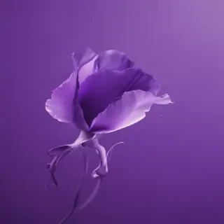 cute purple wallpaper for iphone