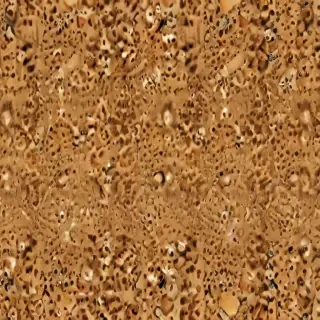 cheetah background