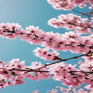 spring iphone wallpaper