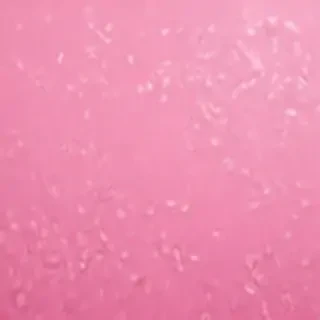 wallpapers pink iphone