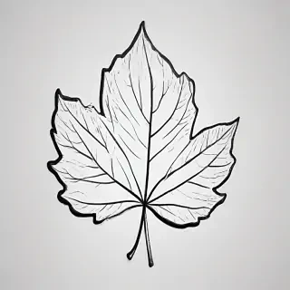 leaf clip art black and white