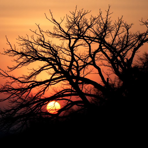 Generate a high-resolution image of a silhouette of a tree with intricate branches against a sunset background, using a DSLR camera, 50mm lens, aperture f/1.8, ISO 100, shutter speed 1/200 sec, soft focus style.