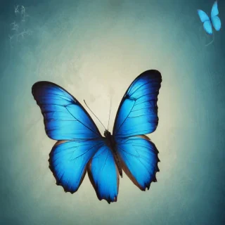 blue butterfly background