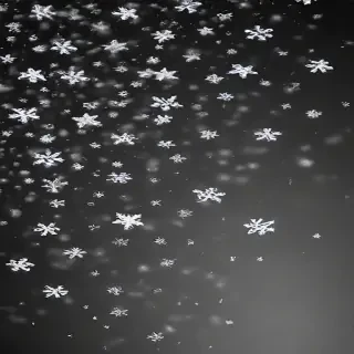 snow transparent background