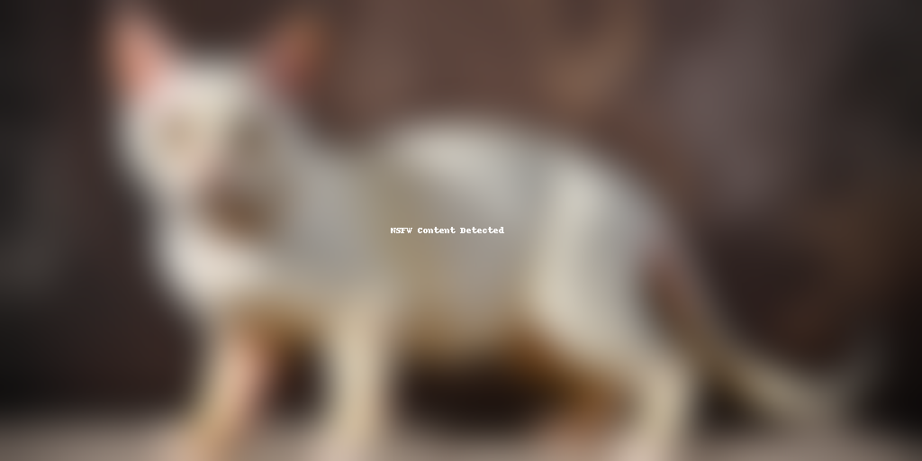 german rex cat breed