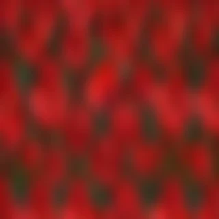 red flower png