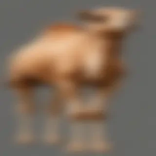 camel png