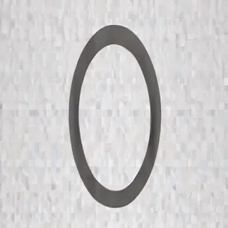 circle transparent png