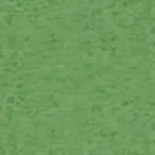 green background plain